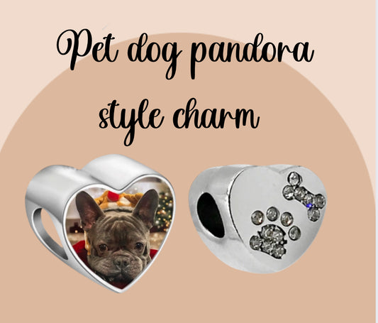 Pet dog pandora  style photo charm